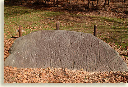 Slide Show Image