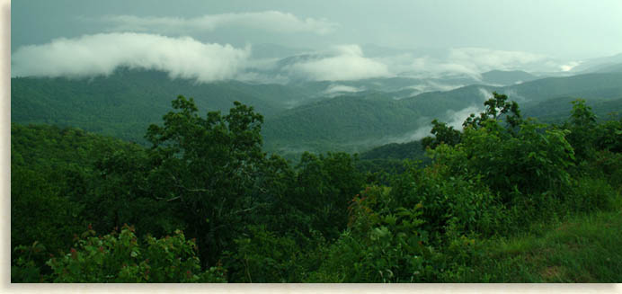 Transylvania Valley Fog off the Parkway