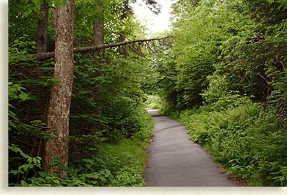 Slide Show Image