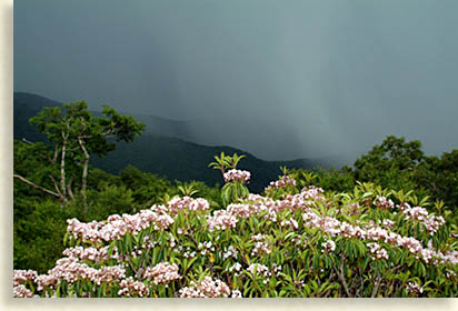 Slide Show Image