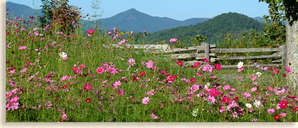 Mountain Garden of Eden