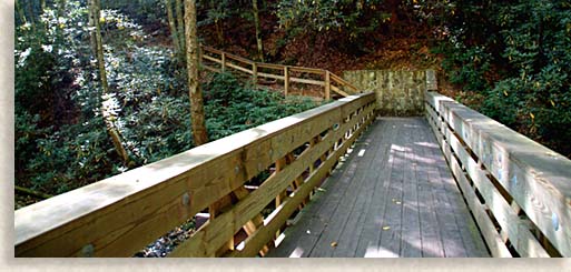 Bridge at Trailhead