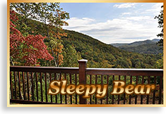 Sleepy Bear Cabin Rental