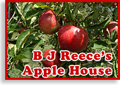 B J Reece's Apple House