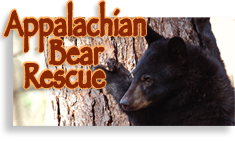 Appalachian Bear Rescue