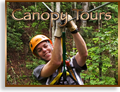 Canopy Tours on the Nantahala Gorge, Chattooga Ridge and Pigeon River