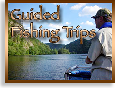 Fishing Trips in the Blue Ridge Smoky Mountains