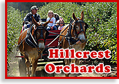 Hillcrest Orchards