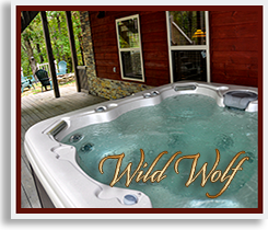 Wild Wolf Lodge