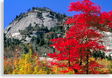 Grandfather Mountain