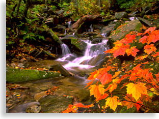 Grandfather Mountain