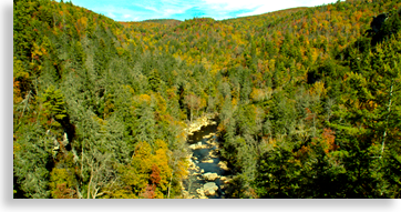 Linville Gorge Wilderness Area