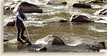 Fly Fishing in Banner Elk North Carolina