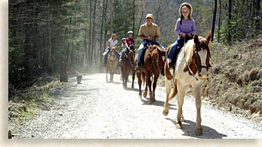 Horseback Riding