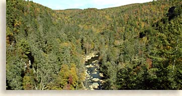 Linville Gorge Wilderness Area