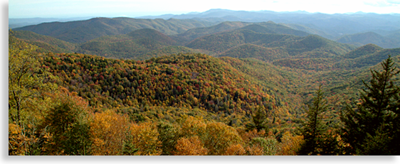 Blue Ridge Parkway Forest Heritage