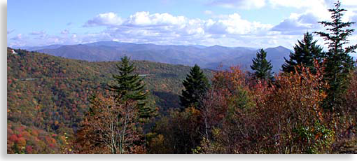 Haywood County Mountain Scene