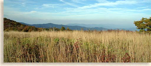 Hoopers Bald on the Cherohala Skyway