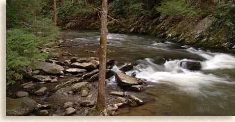 Tellico River near the Cherohala Skyway