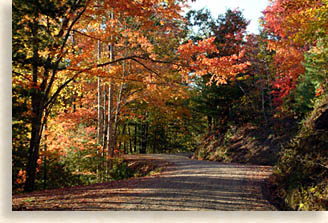 Unicoi Gap Road