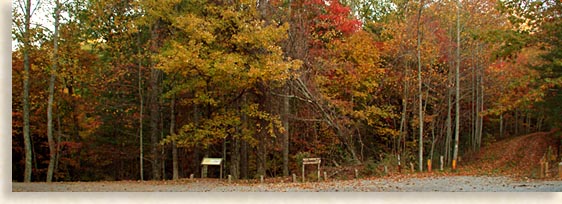 Unicoi Gap Trail