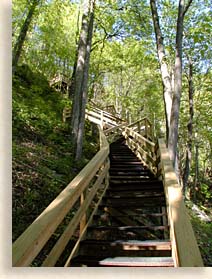 Amicalola Falls Walk Up