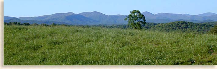 Dawsonville Georgia Countryside