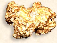 Gold Nugget