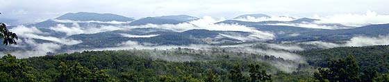 Blue Ridge Mountain Mist