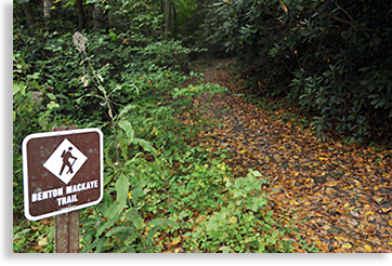 Benton MacKaye Trail in Ellijay Georgia