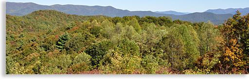 Gilmer County Fall Overlook