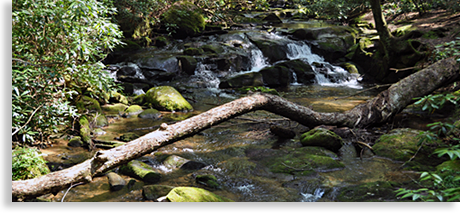 Stanley Creek