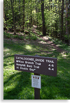 Cataloochee Primitive Campground