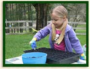 organic garden