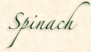 Spinach