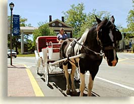 Horsedrawn Carriage, Gold City Corral