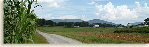 Delano Tennessee - Amish Community- Tennessee Overhill