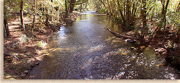 Chattahoochee River in the North Georgia Mountains