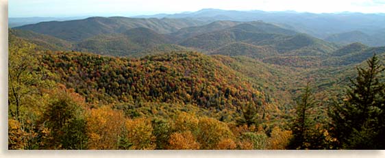 Blue Ridge Parkway Forest Heritage