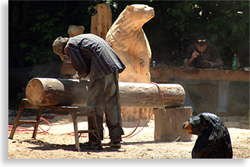 Carving Black Bears in the Smokies