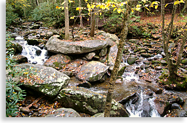 Creeks and Rock Formations in the Smokies