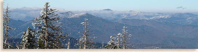 Clingmans Dome in the Great Smoky Mountains