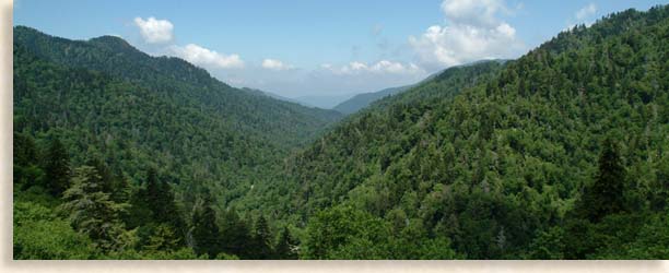 Little Pigeon River Overlook - Smoky Mountain Tennessee