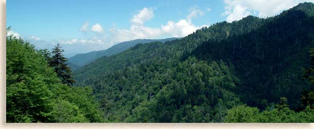 Hiking in the Great Smoky Mountains