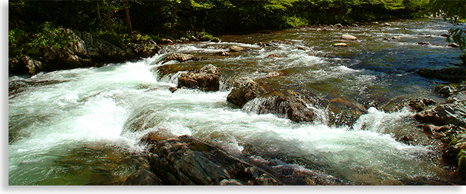 Little Pigeon River in Pittman Tennessee