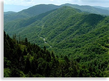 Newfound Gap Road Overlook