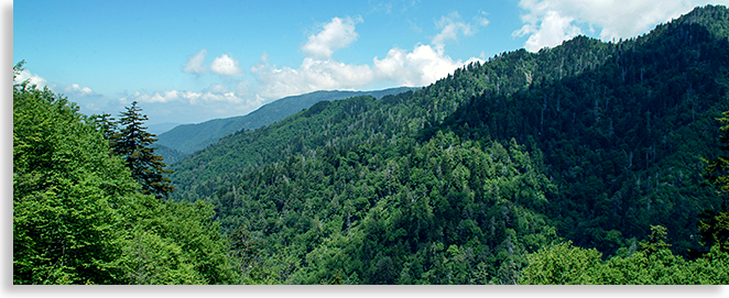 Hiking in the Great Smoky Mountains