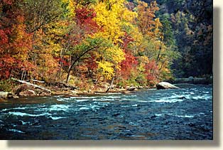 Polk County Rivers