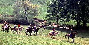Horseback Riding