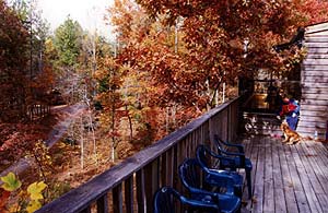 Fall in the mountains